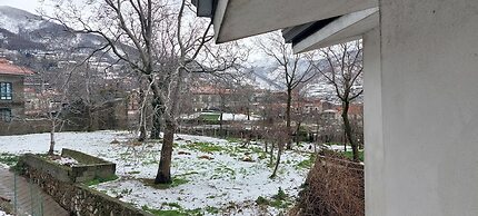 Haidi House Bed and Breakfast