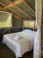 Virgin Islands Campground