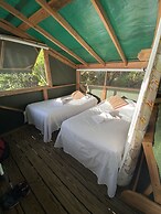 Virgin Islands Campground