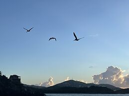 Virgin Islands Campground