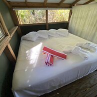 Virgin Islands Campground