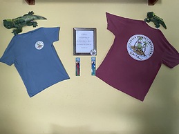 Virgin Islands Campground