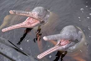 Grand Amazon Expedition