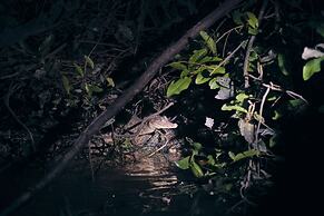 Grand Amazon Expedition