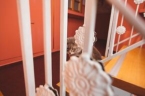 The Elliot - Adults only