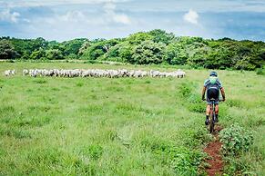 Hacienda Pinilla Vacation Rentals