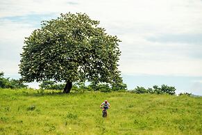 Hacienda Pinilla Vacation Rentals