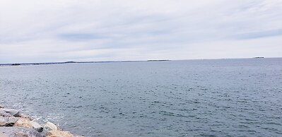 Pilgrim Sands on Long Beach