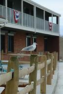 Pilgrim Sands on Long Beach