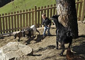 Bergbauernhof Irxner