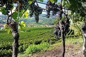 Conca Bella Boutique Hotel & Wine Experience