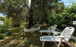 Marilena Apartments & Studios