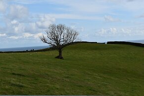 Frogwell