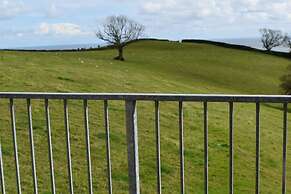 Frogwell