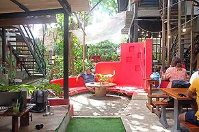 The Lazy Dog Bed & Breakfast