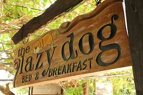 The Lazy Dog Bed & Breakfast