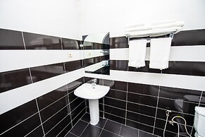 Hotel Shine Palace