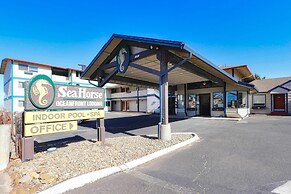 Seahorse Oceanfront Lodging