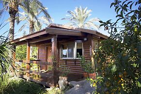 Naomi's B&B