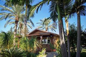 Naomi's B&B