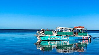 Amoray Dive Resort