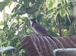 Le Cactus Guesthouse