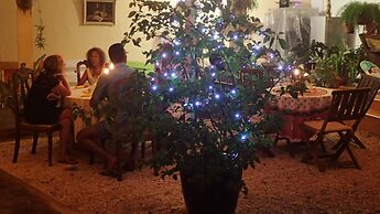 Le Cactus Guesthouse