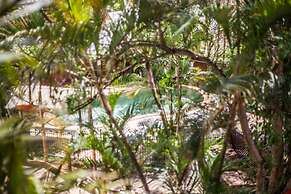 Somewhere To Stay Backpackers