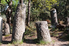 Hotel Carvalho Araújo