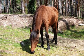 Hotel Carvalho Araújo