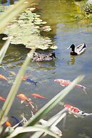 Achtis Boutique Hotel