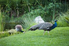 Achtis Boutique Hotel