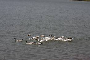 juSTa Lake Nahargarh Palace
