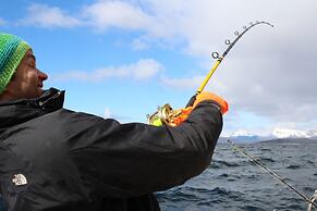 Tysfjord Turistsenter