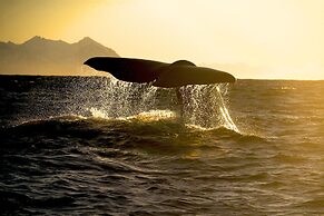 Tysfjord Turistsenter