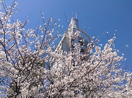 Hotel Abant Shizuoka