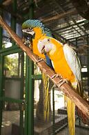 Ashmore Palms Holiday Village