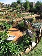 Dolphin View Guesthouse