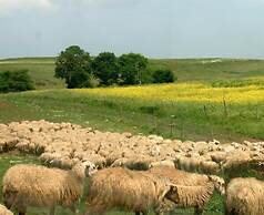 Casale di Tormaggiore Villa and Country Suites