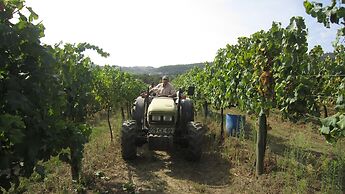 Paco de Pombeiro - Turismo de Habitacao