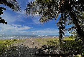 Hotel El Icaco Tortuguero