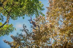 Hotel El Icaco Tortuguero