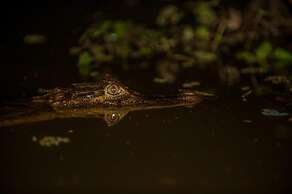 Hotel El Icaco Tortuguero