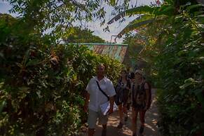 Hotel El Icaco Tortuguero