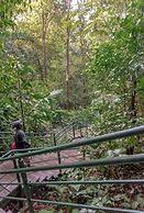 Hotel El Icaco Tortuguero