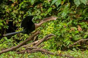 Hotel El Icaco Tortuguero