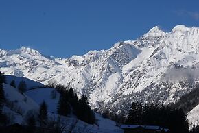 Hotel Alpin