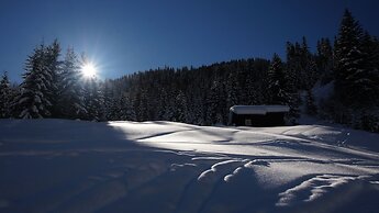Hotel Alpin