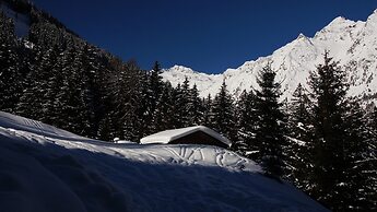 Hotel Alpin