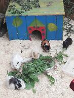 Landhaus Pfahlershof